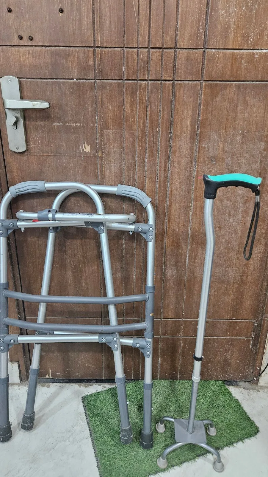 Walker and walking stick — New Delhi